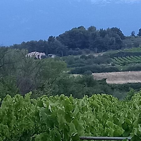La Pifote Villa Villes-sur-Auzon ภายนอก รูปภาพ