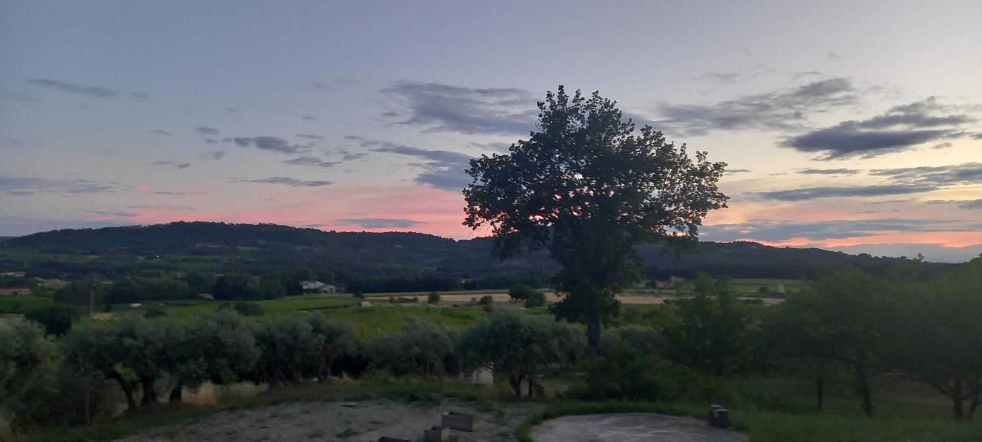 La Pifote Villa Villes-sur-Auzon ภายนอก รูปภาพ